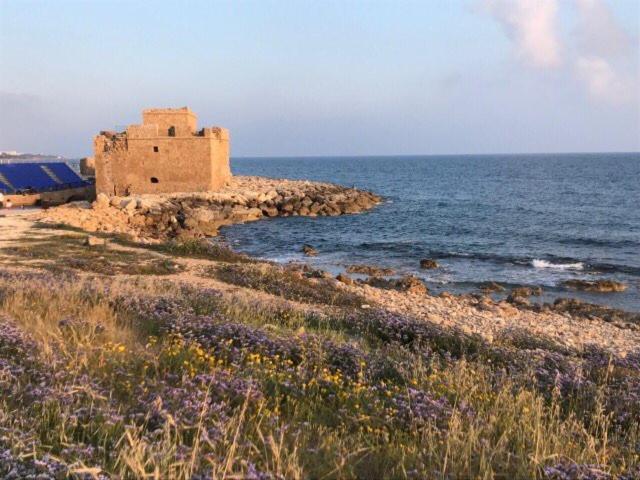 Ikaria Village Maisonette 10 Klorakas エクステリア 写真