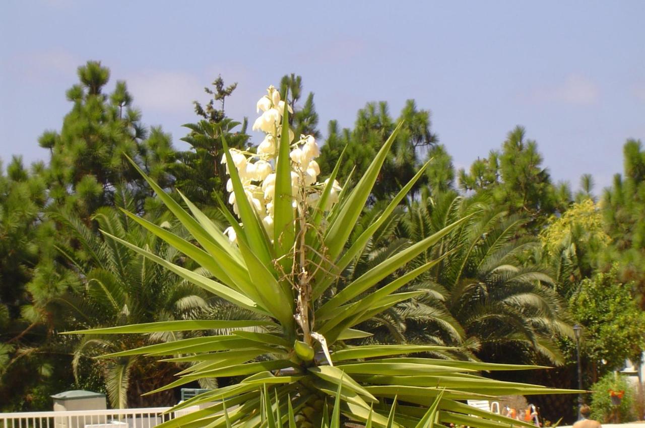 Ikaria Village Maisonette 10 Klorakas エクステリア 写真